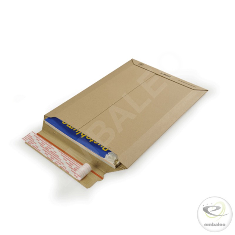 cardboard envelope