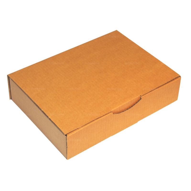 Detector Zeebrasem Overtreden Mailing box - A4 size - 24 x 17 x 5 cm